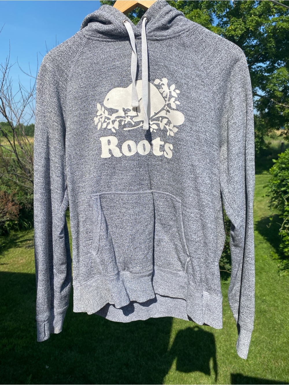Roots Iconic Gray Hoodie